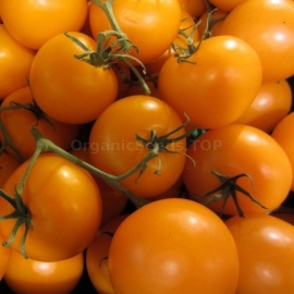 «Marmalade» - Organic Tomato Seeds