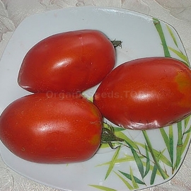 «Stuffing» - Organic Tomato Seeds