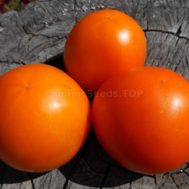 Фото «The sun of the heavenly» - Organic Tomato Seeds