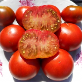 Фото «Dwarf Sleeping Lady» - Organic Tomato Seeds