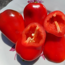 «Sweet Lunchbox Red» - Organic Pepper Seeds