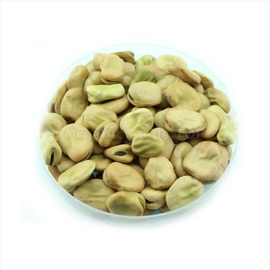 «Windsor» (white) - Organic Bean Seeds