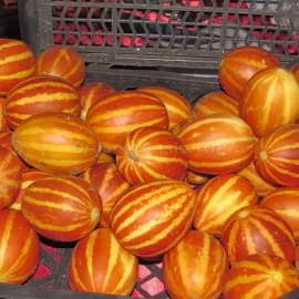 «Gift of grandfather Ho Chi Minh» - Organic Vietnamese Melon Seeds