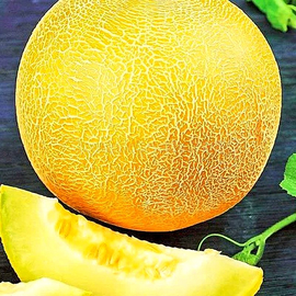 «Tavrichanka» - Organic Melon Seeds