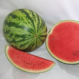 «Victoria» - Organic Watermelon Seeds