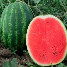 Фото «Manchester» - Organic Watermelon Seeds