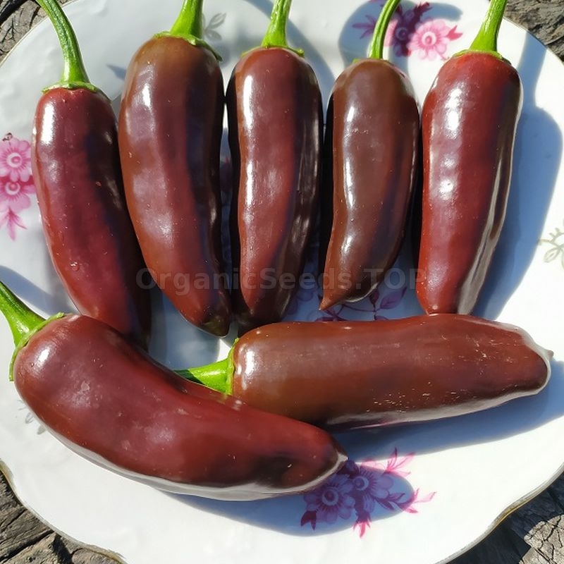 Images «Jalapeno Brown» Organic Hot Pepper Seeds Shipping is free