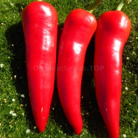 Фото «Griechische milde Peperoni» - Organic Pepper Seeds