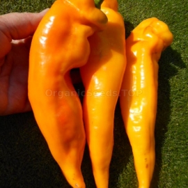 «Ramiro Yellow» - Organic Pepper Seeds