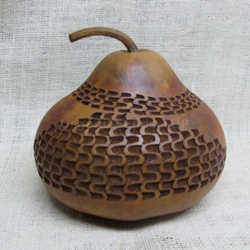 «Tobacco Box» - Organic Calabash Seeds - Shipping is free for orders ...
