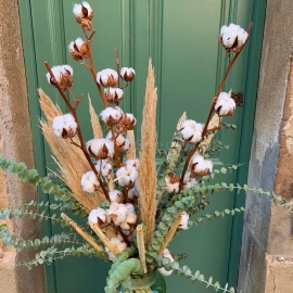 Фото Organic Cotton Seeds (Gossypium hirsutum)