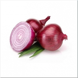 «Lily» - Organic Onion Seeds