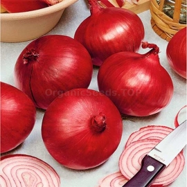 «Ruby» - Organic Onion Seeds
