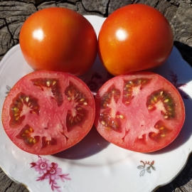 «Frazier’s Gem» - Organic Tomato Seeds