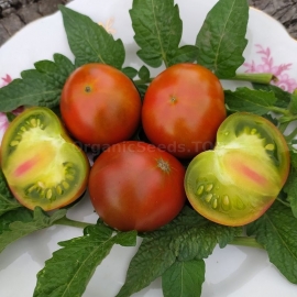 «Dwarf Copperhead» - Organic Tomato Seeds