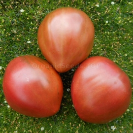 «Dwarf Purple Heart» - Organic Tomato Seeds