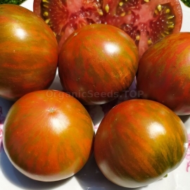 Фото «Dwarf Andy's Forty» - Organic Tomato Seeds