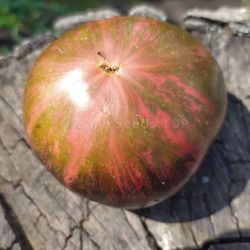 «Blood Moon» Organic Tomato Seeds Shipping is free for orders