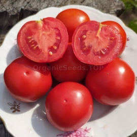 «Snow Fairy Tale» - Organic Tomato Seeds