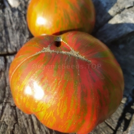 «Siegel's Dark Stripes» - Organic Tomato Seeds