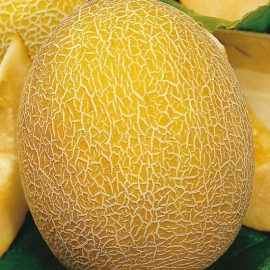 «Ineya» - Organic Melon Seeds