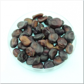 «Extra Grano Violetto» - Organic Bean Seeds