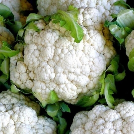 «Palla di Neve» - Organic Cauliflower Seeds