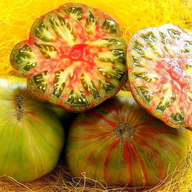 «Green Copia» - Organic Tomato Seeds