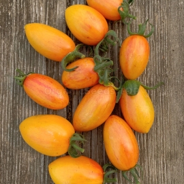 Фото «Blush» - Organic Tomato Seeds