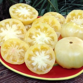 Фото «Duggin White» - Organic Tomato Seeds