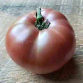 «Dwarf Wild Spudleaf» - Organic Tomato Seeds