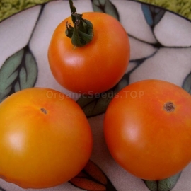 Фото «Grungy in the Sky» - Organic Tomato Seeds