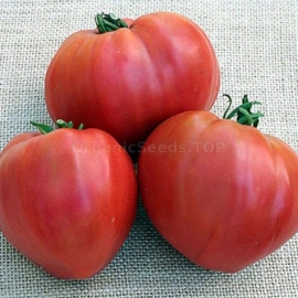 Фото «Kosovo» - Organic Tomato Seeds