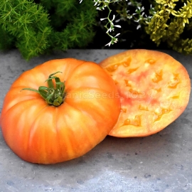 Фото «Minnie’s Pin stripe» - Organic Tomato Seeds
