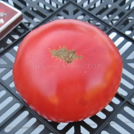 «Rosa Beefsteak» - Organic Tomato Seeds