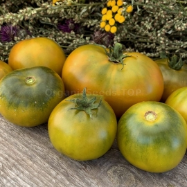 «Shamrock» - Organic Tomato Seeds