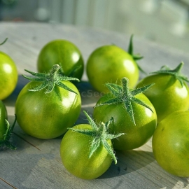 «The Grinch» - Organic Tomato Seeds