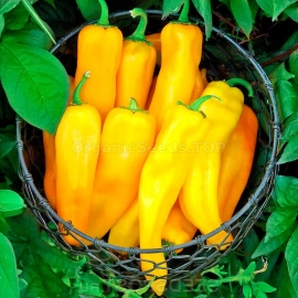 «Marconi Golden» - Organic Pepper Seeds