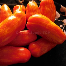 Фото «Jalpa» - Organic Tomato Seeds