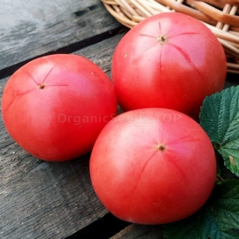 «Zinulya» - Organic Tomato Seeds