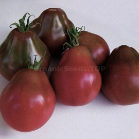 «Pear Black» - Organic Tomato Seeds