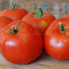 «Ultraearly» - Organic Tomato Seeds