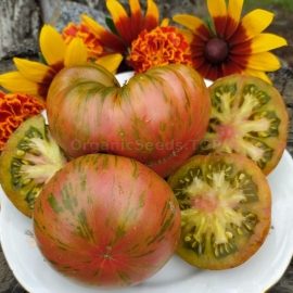 «Alchemist» - Organic Tomato Seeds