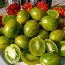 «Vernissage Green» - Organic Tomato Seeds