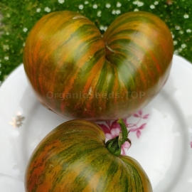 «Marsha's Starfighter Heart» - Organic Tomato Seeds
