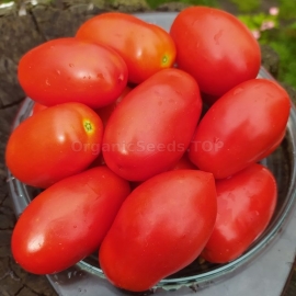 «Legend of the Earth» - Organic Tomato Seeds