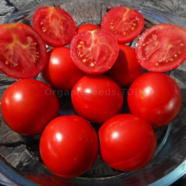 «Fruitful Gusev» - Organic Tomato Seeds