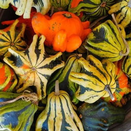 «Crown of Thorns» - Organic Pumpkin Seeds