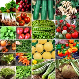 «Northern vegetables» - Organic Set of Seeds