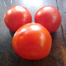 «Tayana» - Organic Tomato Seeds